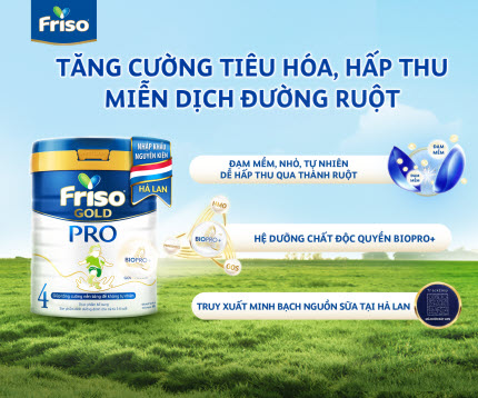 Sữa Friso Pro 4