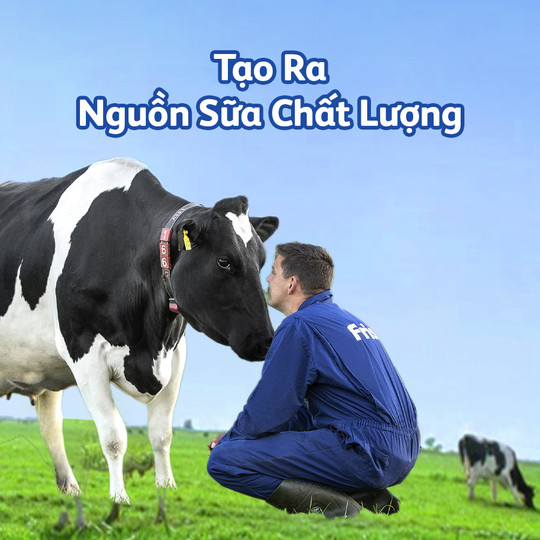 nguồn sữa chất lượng từ friso